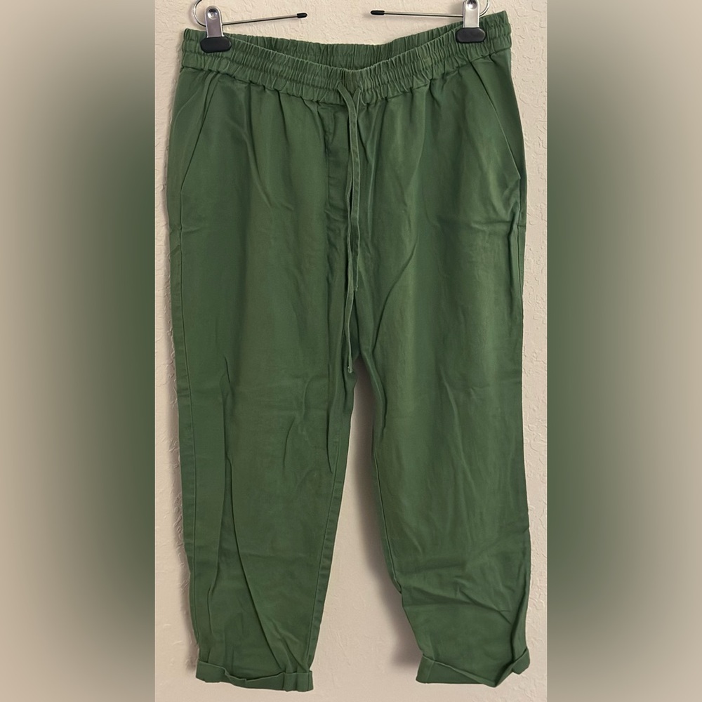 J. Crew Womens Green Linen-Cotton Blend Drawstring Ankle Pants